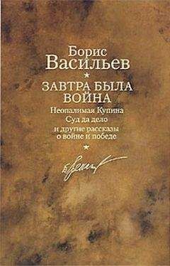 Борис Васильев - Суд да дело - Читать 📖 Читать онлайн 👀 Читаемые книги читать онлайн бесплатно 🔥 booksread-online.com