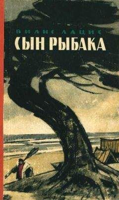 Вилис Лацис - Сын рыбака - Читать 📖 Читать онлайн 👀 Читаемые книги читать онлайн бесплатно 🔥 booksread-online.com