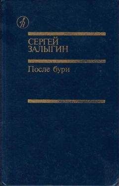 СЕРГЕЙ ЗАЛЫГИН - После бури. Книга вторая - Читать | Читать онлайн | Читаемые книги читать онлайн бесплатно | booksread-online.com