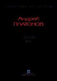 Андрей Платонов - Рассказы.Том 1 - Читать 📖 Читать онлайн 👀 Читаемые книги читать онлайн бесплатно 🔥 booksread-online.com
