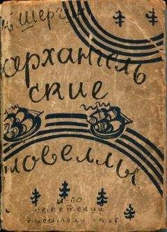 Борис Шергин - Архангельские новеллы - Читать 📖 Читать онлайн 👀 Читаемые книги читать онлайн бесплатно 🔥 booksread-online.com