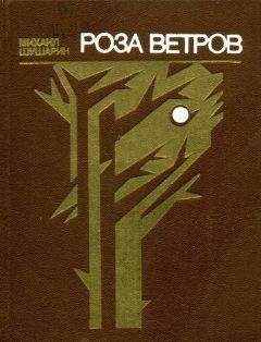 Михаил Шушарин - Роза ветров - Читать | Читать онлайн | Читаемые книги читать онлайн бесплатно | booksread-online.com