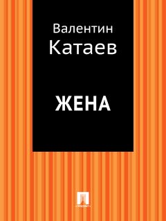 Валентин Катаев - Жена - Читать 📖 Читать онлайн 👀 Читаемые книги читать онлайн бесплатно 🔥 booksread-online.com