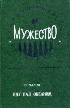 Павел Халов - Иду над океаном - Читать 📖 Читать онлайн 👀 Читаемые книги читать онлайн бесплатно 🔥 booksread-online.com