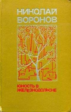 Николай Воронов - Юность в Железнодольске - Читать 📖 Читать онлайн 👀 Читаемые книги читать онлайн бесплатно 🔥 booksread-online.com