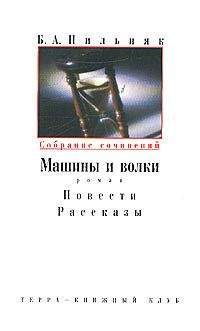 Борис Пильняк - Том 2. Машины и волки. Повести. Рассказы - Читать 📖 Читать онлайн 👀 Читаемые книги читать онлайн бесплатно 🔥 booksread-online.com