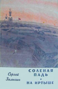 Сергей Залыгин - На Иртыше - Читать 📖 Читать онлайн 👀 Читаемые книги читать онлайн бесплатно 🔥 booksread-online.com