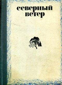 Виктор Потанин - Северный ветер - Читать 📖 Читать онлайн 👀 Читаемые книги читать онлайн бесплатно 🔥 booksread-online.com