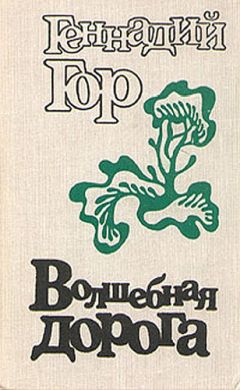 Геннадий Гор - Волшебная дорога (сборник) - Читать 📖 Читать онлайн 👀 Читаемые книги читать онлайн бесплатно 🔥 booksread-online.com