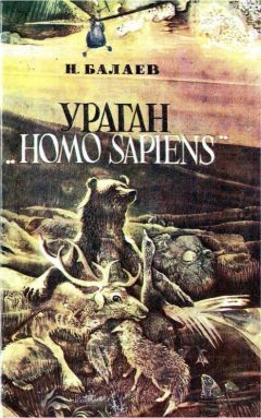 Николай Балаев - Ураган «Homo Sapiens» - Читать | Читать онлайн | Читаемые книги читать онлайн бесплатно | booksread-online.com
