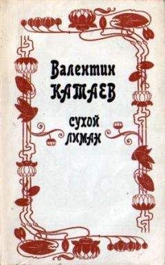 Валентин Катаев - Сухой лиман (сборник) - Читать 📖 Читать онлайн 👀 Читаемые книги читать онлайн бесплатно 🔥 booksread-online.com