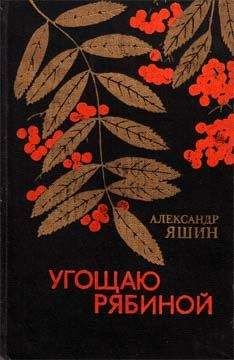 Александр Яшин - Выскочка - Читать 📖 Читать онлайн 👀 Читаемые книги читать онлайн бесплатно 🔥 booksread-online.com