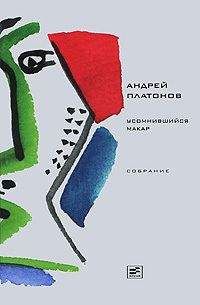 Андрей Платонов - Том 1. Усомнившийся Макар - Читать 📖 Читать онлайн 👀 Читаемые книги читать онлайн бесплатно 🔥 booksread-online.com