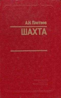 Александр Плетнёв - Шахта - Читать 📖 Читать онлайн 👀 Читаемые книги читать онлайн бесплатно 🔥 booksread-online.com