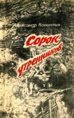 Александр Коноплин - Сорок утренников (сборник) - Читать 📖 Читать онлайн 👀 Читаемые книги читать онлайн бесплатно 🔥 booksread-online.com