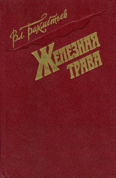 Владимир Бахметьев - Железная трава - Читать 📖 Читать онлайн 👀 Читаемые книги читать онлайн бесплатно 🔥 booksread-online.com
