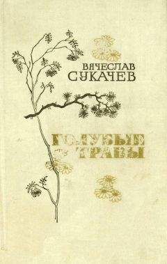 Вячеслав Сукачев - У светлой пристани - Читать 📖 Читать онлайн 👀 Читаемые книги читать онлайн бесплатно 🔥 booksread-online.com