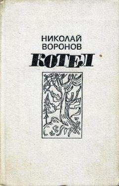 Николай Воронов - Котел. Книга первая - Читать 📖 Читать онлайн 👀 Читаемые книги читать онлайн бесплатно 🔥 booksread-online.com