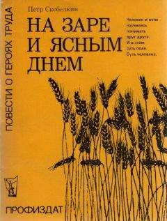 Петр Скобелкин - На заре и ясным днем - Читать 📖 Читать онлайн 👀 Читаемые книги читать онлайн бесплатно 🔥 booksread-online.com