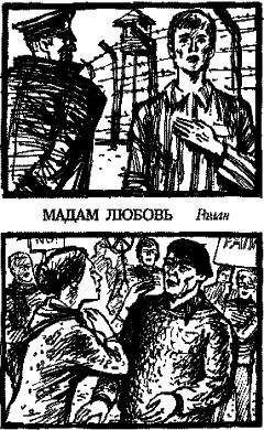 Николай Садкович - Мадам Любовь - Читать | Читать онлайн | Читаемые книги читать онлайн бесплатно | booksread-online.com