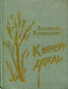 Владимир Курносенко - К вечеру дождь - Читать 📖 Читать онлайн 👀 Читаемые книги читать онлайн бесплатно 🔥 booksread-online.com