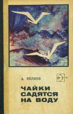 Альберт Беляев - Чайки садятся на воду - Читать 📖 Читать онлайн 👀 Читаемые книги читать онлайн бесплатно 🔥 booksread-online.com