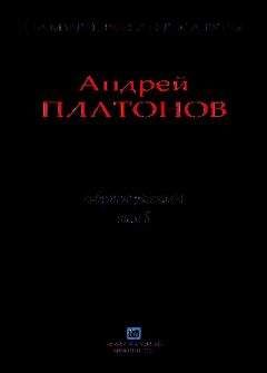 Андрей Платонов - Рассказы.Том 8 - Читать 📖 Читать онлайн 👀 Читаемые книги читать онлайн бесплатно 🔥 booksread-online.com