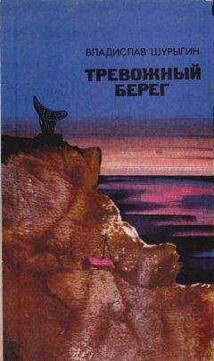 Владислав Шурыгин - Вот идет снег… - Читать 📖 Читать онлайн 👀 Читаемые книги читать онлайн бесплатно 🔥 booksread-online.com