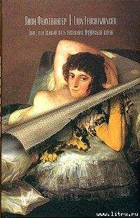 Лион Фейхтвангер - Гойя или Тяжкий путь познания - Читать 📖 Читать онлайн 👀 Читаемые книги читать онлайн бесплатно 🔥 booksread-online.com