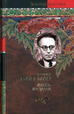 Василий Гроссман - Жизнь и судьба - Читать 📖 Читать онлайн 👀 Читаемые книги читать онлайн бесплатно 🔥 booksread-online.com