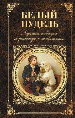 Иван Тургенев - Белый пудель. Лучшие повести и рассказы о животных (сборник) - Читать 📖 Читать онлайн 👀 Читаемые книги читать онлайн бесплатно 🔥 booksread-online.com