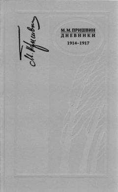 М. Пришвин - Дневники 1914-1917 - Читать 📖 Читать онлайн 👀 Читаемые книги читать онлайн бесплатно 🔥 booksread-online.com
