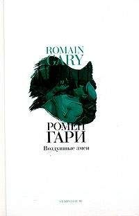 Ромен Гари - Воздушные змеи - Читать 📖 Читать онлайн 👀 Читаемые книги читать онлайн бесплатно 🔥 booksread-online.com