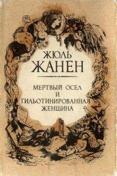 Жюль Жанен - Мертвый осел и гильотинированная женщина - Читать 📖 Читать онлайн 👀 Читаемые книги читать онлайн бесплатно 🔥 booksread-online.com