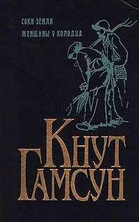 Кнут Гамсун - Соки земли - Читать 📖 Читать онлайн 👀 Читаемые книги читать онлайн бесплатно 🔥 booksread-online.com