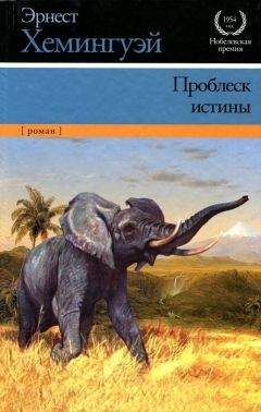 Эрнест Хемингуэй - Проблеск истины - Читать | Читать онлайн | Читаемые книги читать онлайн бесплатно | booksread-online.com
