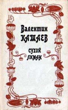 Валентин Катаев - Кубик - Читать 📖 Читать онлайн 👀 Читаемые книги читать онлайн бесплатно 🔥 booksread-online.com