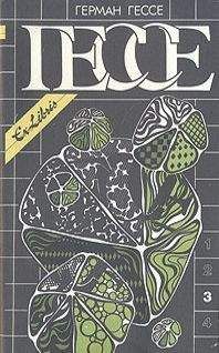 Герман Гессе - Собрание сочинений в четырех томах. Том 3 - Читать 📖 Читать онлайн 👀 Читаемые книги читать онлайн бесплатно 🔥 booksread-online.com