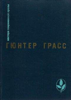 Гюнтер Грасс - Встреча в Тельгте - Читать | Читать онлайн | Читаемые книги читать онлайн бесплатно | booksread-online.com
