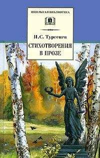 Иван Тургенев - Стихотворения в прозе (Senilia) - Читать 📖 Читать онлайн 👀 Читаемые книги читать онлайн бесплатно 🔥 booksread-online.com