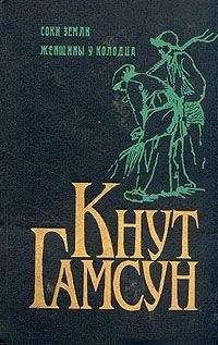 Кнут Гамсун - Женщины у колодца - Читать 📖 Читать онлайн 👀 Читаемые книги читать онлайн бесплатно 🔥 booksread-online.com