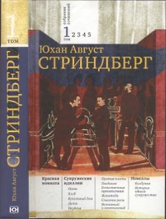 Август Стриндберг - Красная комната - Читать 📖 Читать онлайн 👀 Читаемые книги читать онлайн бесплатно 🔥 booksread-online.com