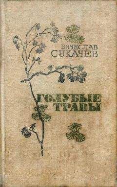 Вячеслав Сукачев - Повесть о любви - Читать 📖 Читать онлайн 👀 Читаемые книги читать онлайн бесплатно 🔥 booksread-online.com
