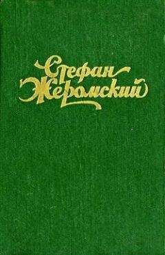 Стефан Жеромский - Верная река - Читать 📖 Читать онлайн 👀 Читаемые книги читать онлайн бесплатно 🔥 booksread-online.com