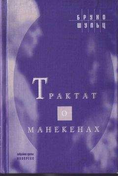 Бруно Шульц - Трактат о манекенах - Читать | Читать онлайн | Читаемые книги читать онлайн бесплатно | booksread-online.com