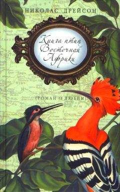 Николас Дрейсон - Книга птиц Восточной Африки - Читать 📖 Читать онлайн 👀 Читаемые книги читать онлайн бесплатно 🔥 booksread-online.com