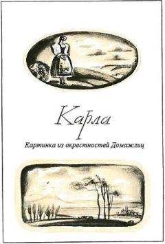 Божена Немцова - Карла - Читать 📖 Читать онлайн 👀 Читаемые книги читать онлайн бесплатно 🔥 booksread-online.com