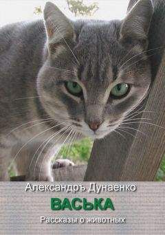 Александръ Дунаенко - ВАСЬКА - Читать 📖 Читать онлайн 👀 Читаемые книги читать онлайн бесплатно 🔥 booksread-online.com