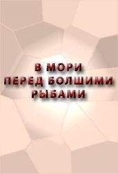 Аноним - В МОРИ ПЕРЕД БОЛШИМИ РЫБАМИ СКАЗАНИЕ О ЕРШЕ О ЕРШОВЕ СЫНЕ, - Читать 📖 Читать онлайн 👀 Читаемые книги читать онлайн бесплатно 🔥 booksread-online.com