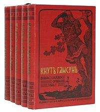 Кнут Гамсун - Новые силы - Читать 📖 Читать онлайн 👀 Читаемые книги читать онлайн бесплатно 🔥 booksread-online.com